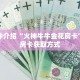 一分钟介绍“火神牛牛金花房卡”详细房卡获取方式