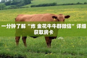 玩家秒懂“超级三加一链接房间怎么弄”详细购买房卡教程