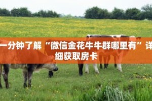 一分钟了解“微信如何拼十房间链接”详细购买房卡教程