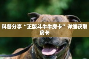 科普分享“正版斗牛牛房卡”详细获取房卡