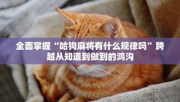 秒懂教程“微信拼十链接怎么弄房卡”获取房卡充值教程-哔哩哔哩 秒懂教程“微信拼十链接怎么弄房卡”获取房卡充值教程-哔哩哔哩