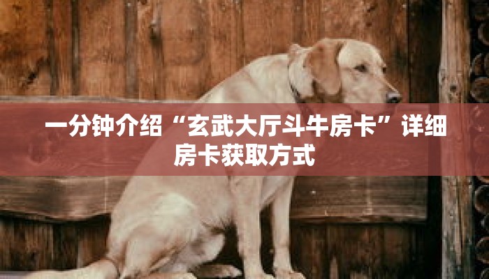 一分钟介绍“玄武大厅斗牛房卡”详细房卡获取方式