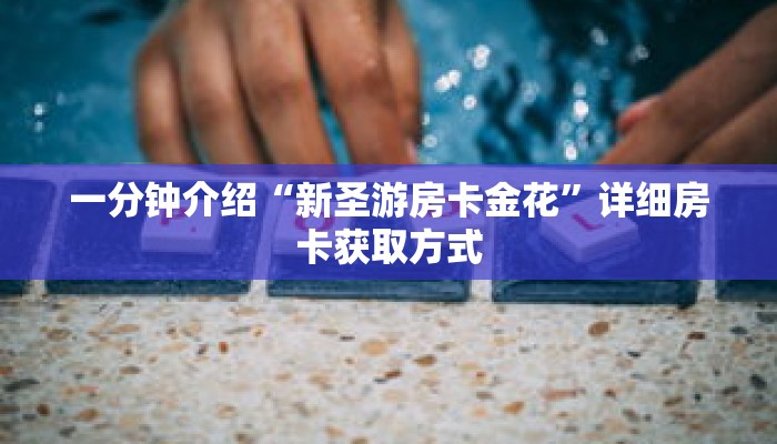 一分钟介绍“新圣游房卡金花”详细房卡获取方式