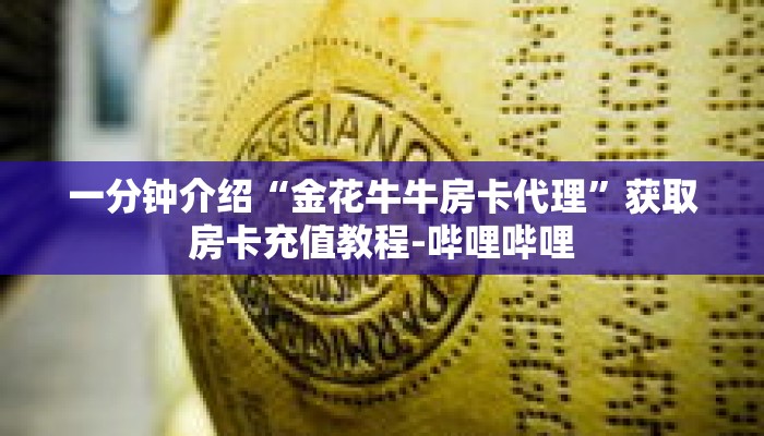 一分钟介绍“金花牛牛房卡代理”获取房卡充值教程-哔哩哔哩