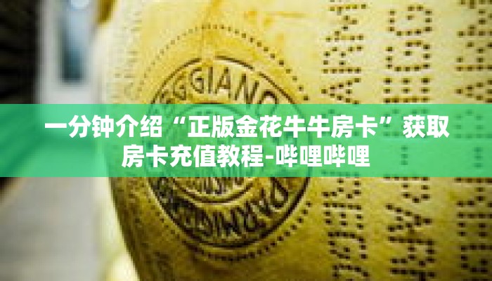 一分钟介绍“正版金花牛牛房卡”获取房卡充值教程-哔哩哔哩