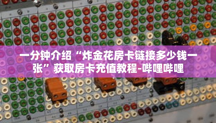 一分钟介绍“炸金花房卡链接多少钱一张”获取房卡充值教程-哔哩哔哩 一分钟介绍“炸金花房卡链接多少钱一张”获取房卡充值教程-哔哩哔哩