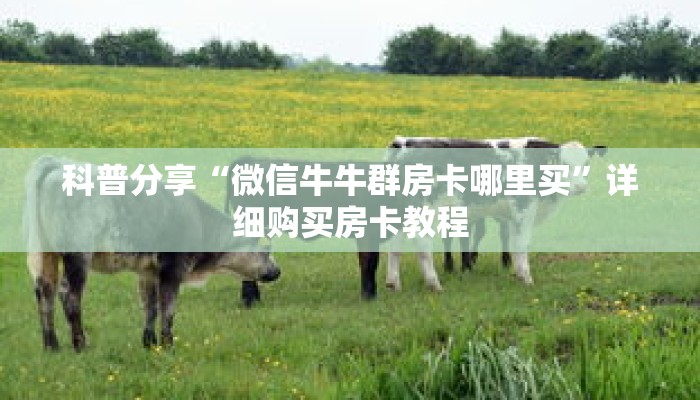 科普分享“微信牛牛群房卡哪里买”详细购买房卡教程