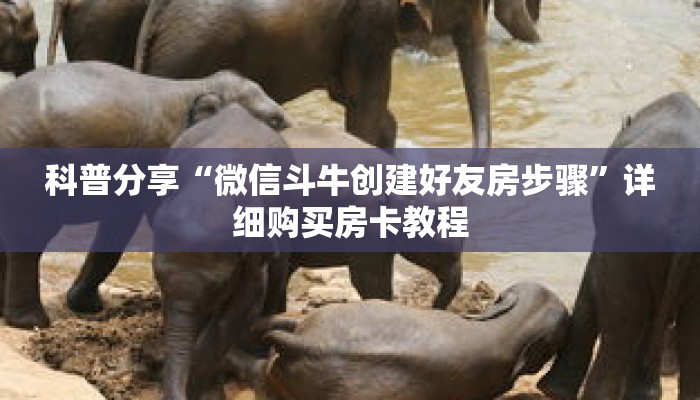 科普分享“微信斗牛创建好友房步骤”详细购买房卡教程