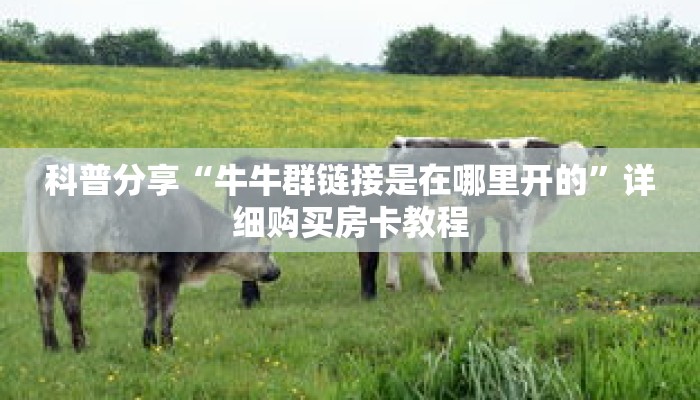 科普分享“牛牛群链接是在哪里开的”详细购买房卡教程 科普分享“牛牛群链接是在哪里开的”详细购买房卡教程