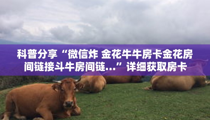 玩家秒懂“微信斗牛链接房卡怎么弄”详细获取房卡 玩家秒懂“微信斗牛链接房卡怎么弄”详细获取房卡