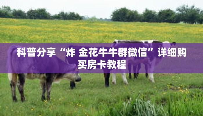科普分享“炸 金花牛牛群微信”详细购买房卡教程 科普分享“炸 金花牛牛群微信”详细购买房卡教程