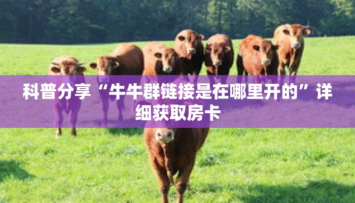 科普分享“牛牛群链接是在哪里开的”详细获取房卡 科普分享“牛牛群链接是在哪里开的”详细获取房卡