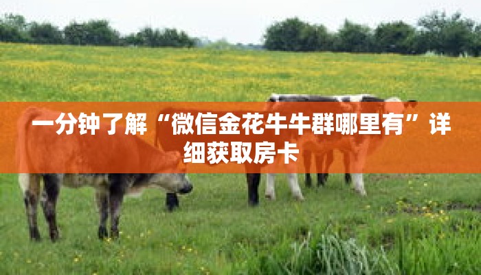 一分钟了解“微信如何拼十房间链接”详细购买房卡教程