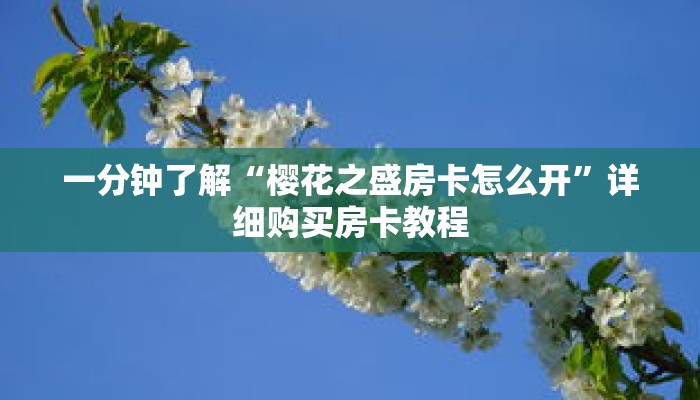 一分钟了解“樱花之盛房卡怎么开”详细购买房卡教程 一分钟了解“樱花之盛房卡怎么开”详细购买房卡教程