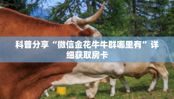 科普分享“微信金花牛牛群哪里有”详细获取房卡 科普分享“微信金花牛牛群哪里有”详细获取房卡