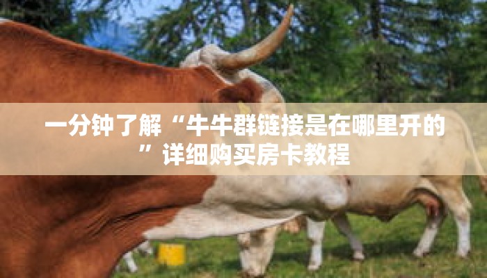 一分钟了解“牛牛群链接是在哪里开的”详细购买房卡教程