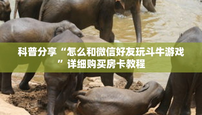 科普分享“怎么和微信好友玩斗牛游戏”详细购买房卡教程