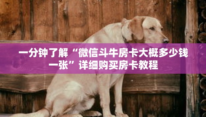 一分钟了解“微信斗牛房卡大概多少钱一张”详细购买房卡教程