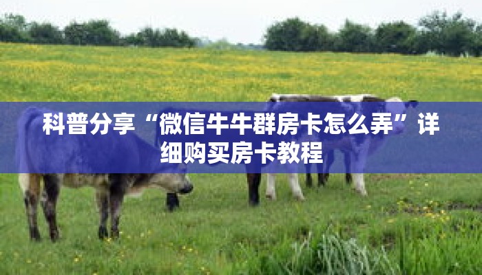 科普分享“微信牛牛群房卡怎么弄”详细购买房卡教程