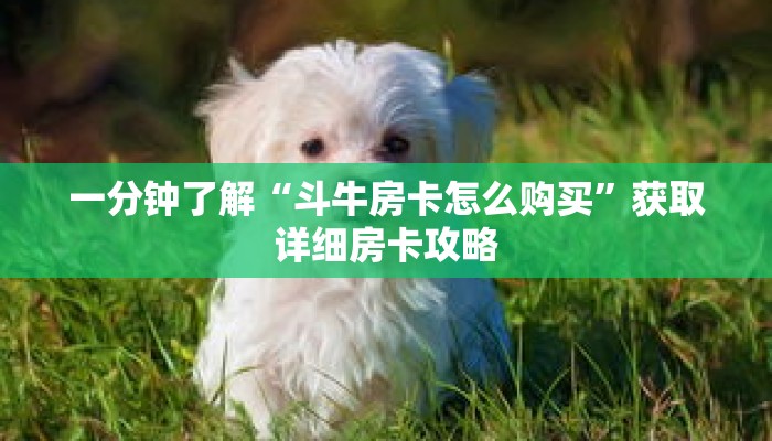 一分钟了解“斗牛房卡怎么购买”获取详细房卡攻略