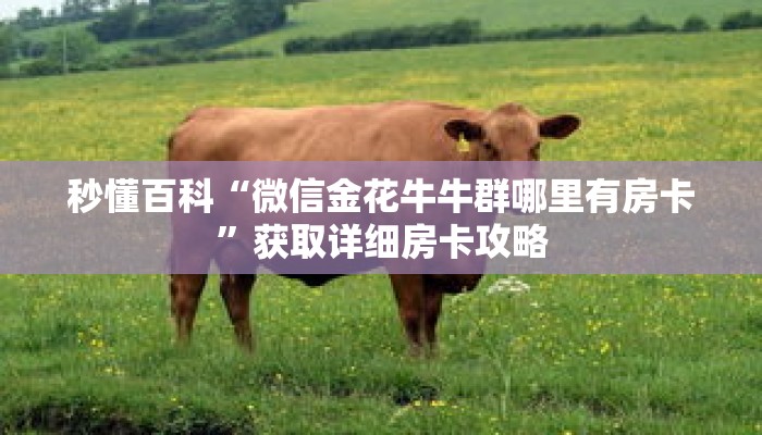 秒懂百科“微信金花牛牛群哪里有房卡”获取详细房卡攻略