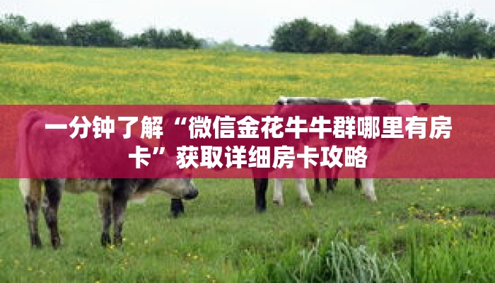 一分钟了解“微信金花牛牛群哪里有房卡”获取详细房卡攻略