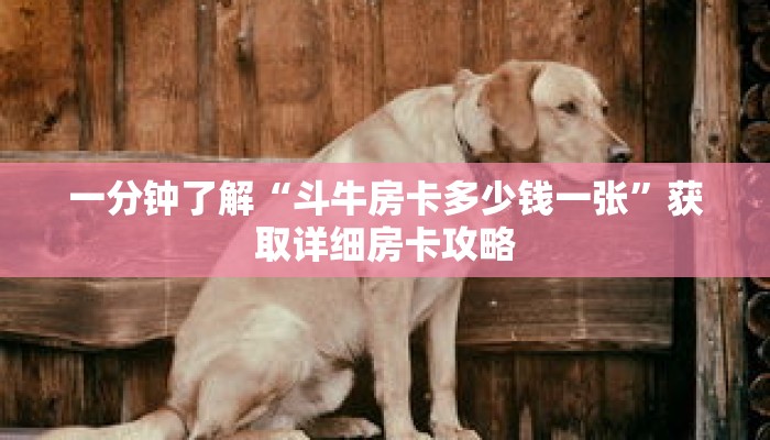 一分钟了解“斗牛房卡多少钱一张”获取详细房卡攻略