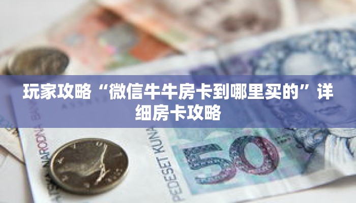 玩家攻略“微信牛牛房卡到哪里买的”详细房卡攻略 玩家攻略“微信牛牛房卡到哪里买的”详细房卡攻略